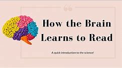 The Science of Reading: How the Brain Learns to Read