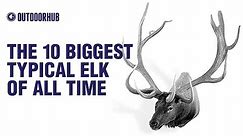 The 10 Biggest Typical Elk of All Time
