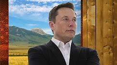 Watch Tucker Carlson Today: Season 3, Episode 39, "Elon Musk" Online - Fox Nation