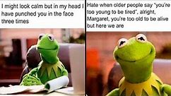 Kermit The Frog Memes That Might Make Your Day
