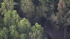 Crashed fighter jet debris found in South Carolina