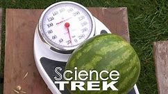 Science Trek:Measure: Mass vs. Weight