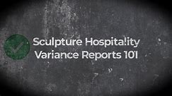 Variance Reports 101 Demonstration Video
