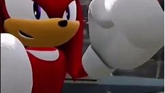 Knuckles the echidna vs shadow the hedgehog