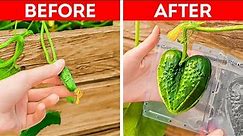 Unusual Gardening Hacks And Plant Growing Tips You Have to Try