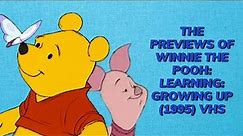 Opening to Winnie the Pooh Learning: Growing Up (1995) VHS