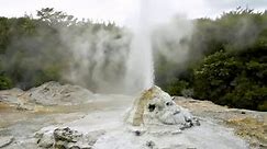 Geyser in the Taupo Volcanic Zone of New Zealand.