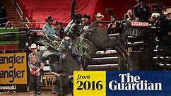 As bull riding hits the big time, pro riders fight through pain for big payouts