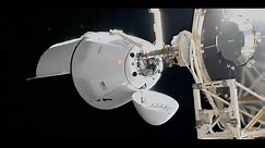 See SpaceX's CRS-27 Cargo Dragon approach and dock with space station