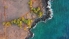 North Kohala Hawaii coast from air (4K drone footage) [2020]