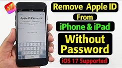 How to Remove Apple ID from iPhone/iPad without Password in 2023