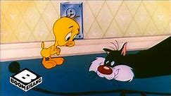 Looney Tunes Classic | Poor Puddytat | Boomerang Official