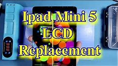 Ipad Mini 5 LCD Replacement step by step A2133 A2124 A2126