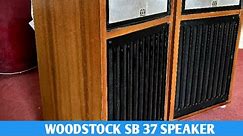WOODSTOCK SB 37 SPEAKER SYSTEM / 8 OHMS / MOBILE NUMBER 9983565550 / For sale..