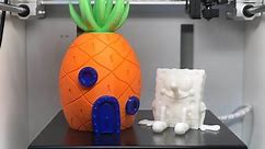 Interesting 3D Print | Spongebob and his house
