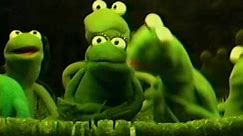 Kermit's Swamp Years (2002 Promotional Screener VHS)