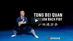 Tong Bei Quan | Through The Back Fist | 通背拳