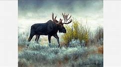 OIL PAINTING - Bull Moose, My Process and Techniques, Wildlife Art
