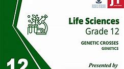 Gr 12 - Life Sciences - Genetics - Genetic Crosses