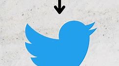 Twitter Unveils New X Logo!
