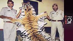 🇮🇳 India: Last of the Tigers | 101 East