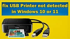 How to fix USB Printer not detected in Windows 10 or 11