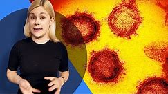 Coronavirus explained