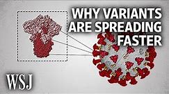 The Science Behind Why New Covid Variants Are Spreading Faster | WSJ