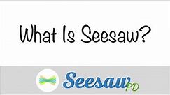 What Is Seesaw?