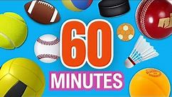 learn sport balls in english for kids in 60 minutes
