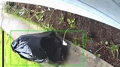 This thief was so desperate to steal a package that they pretended to be a bag of trash -- check out this surveillance footage from a home in Sacramento, Calif. #thief #trash #trashbag #bag #steal #stealing #package #surveillance #camera #sacramento #california #ca #news #fyp #foryoupage #abc7news