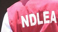 Alleged harassment: Court orders substituted service on NDLEA officials