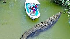 15 Largest Crocodiles In The World
