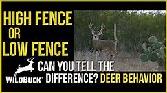 High Fence Vs. Low Fence Hunting – Can You Really Tell The Difference? Deer Behavior