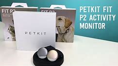 How to Set Up & Use The Petkit Fit P2 Activity Monitor
