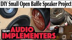 Small (Budget) Open Baffle Speaker