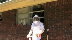 Detecting severe allergy to hornets that killed Va. mom - WTOP News