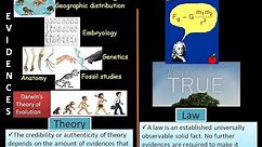 5 Differences between Theory and Law with Examples
