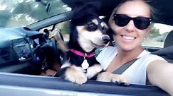 Woman and dog enjoy car ride