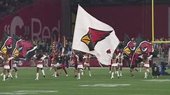 Arizona Cardinals confirm changes in business operations, including layoffs and new positions