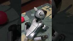 Jumpy in action with aibo-Life 1 he is happy