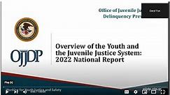Overview of the Youth and the Juvenile Justice System 2022 National Report