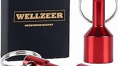 WELLZEER Keychain Magnet for Testing Brass,N52 Red Pocket Magnets for Purse with Strong Magnetic Rare Earth Neodymium,Gold,Silver, Jewelry, Metals Test Magnet and Hanging Keys Holder D15mm