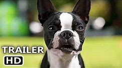 STRAYS Trailer (2023) Jamie Foxx, Will Ferrell