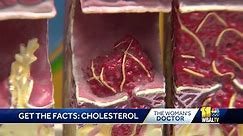 High cholesterol run in your family? Here's what to watch for