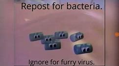 Repost for Bacteria. ignore and you will have Furry Virus.