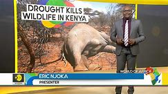 World of Africa: East Africa faces worst drought in decades