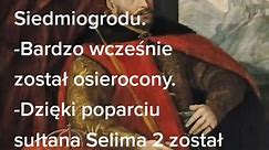 #historia #poland #polska #history #węgry