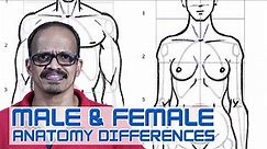 HUMAN ANATOMY in ADVANCE- FEMALE & MALE BODY DIFFERENCES