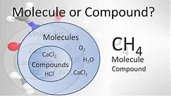 Molecule vs Compound: Examples and Practice